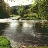 River Ystwyth at Hafod River Ystwyth at Hafod